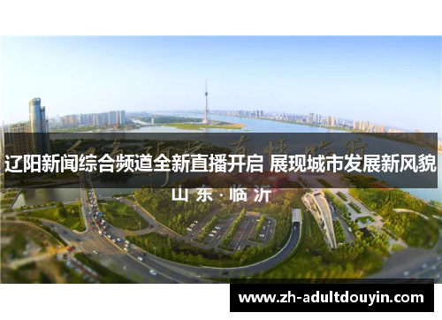 辽阳新闻综合频道全新直播开启 展现城市发展新风貌